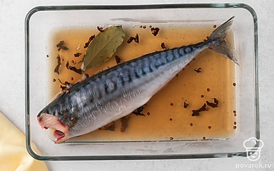Положите скумбрию в миску или форму подходящего размера, залейте маринадом. Поставьте миску с рыбой в холодильник на 1 сутки.