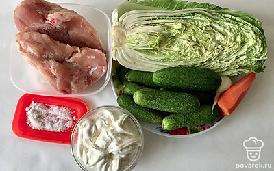 Промойте хорошо куриное филе. Нашинкуйте капусту. Морковь очистите и натрите на мелкой терке. Лук и огурцы мелко нарежьте.