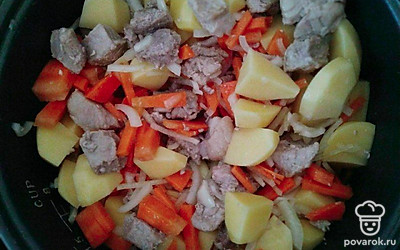 Нарезанное мясо кладите в мультиварку, включите режим "Тушение" на 20 минут, добавьте воды и растительного масла, ждите пока мясо не пустит сок. Добавьте в мультиварку только морковь, лук и картофель, перемешайте и тушите в течение 20 минут.