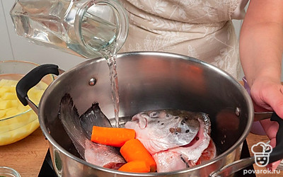 Сварите бульон. В кастрюлю положите голову, хвостовую и позвоночную части, черный и душистый перцы, лавровый лист, 1 луковицу, морковь, соль. Налейте холодную воду так, чтобы она покрывала содержимое кастрюли, поставьте на сильный огонь. После закипания снимите пену, убавьте огонь до среднего и варите около 1 часа.