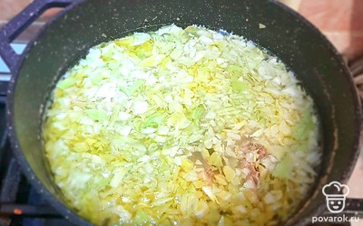 Молодую капусту мелко нашинковать, добавить в кастрюлю к мясу.