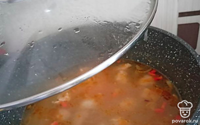 Соль, специи по вкусу, кипятить до готовности.