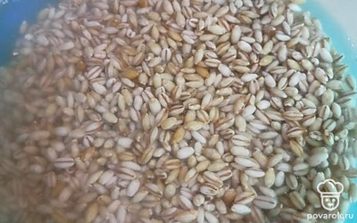 Пока мясо варится, замачиваем перловку: сначала перловку промыть под холодной водой, а затем заливаем водой и оставляем.