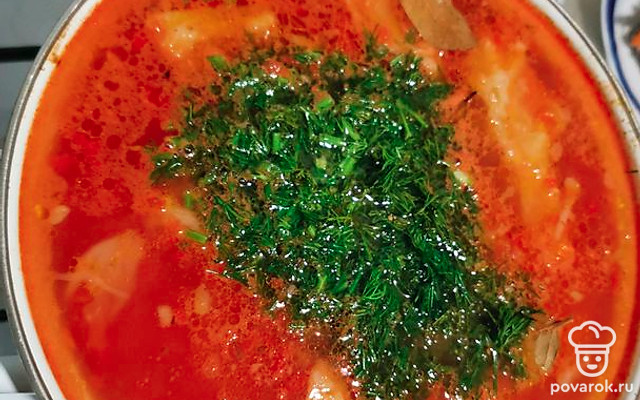 Щи без зажарки со свежими овощами — Рецепт с фото