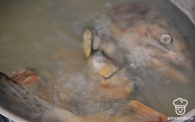 Рыбьи головы, можно и хвосты (в данном случае кижуч) хорошо промываем и выкладываем в кастрюлю. Заливаем 3 литра воды, закрываем крышкой и ставим на средний огонь на 2 часа. Через час после начала готовки добавляем душистый перец горошком и лавровый лист.