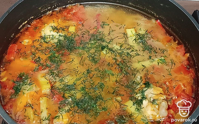 Ароматные щи из курицы — Рецепт с фото