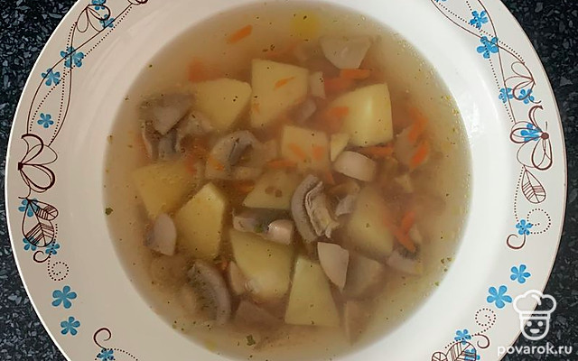 Грибной суп с гречкой и овощами — Рецепт с фото