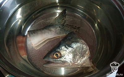 Промойте голову и хвост горбуши. Положите в кастрюлю, залейте 2 литрами холодной водой и поставьте на огонь. Когда вода закипит, снимите образовавшуюся пену. Варите голову и хвост горбуши 20 минут.
