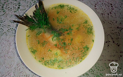 Посыпьте мелко рубленным укропом. Можно положить и целую веточку укропа в тарелку с ухой.