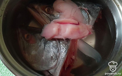 Налейте в кастрюлю 1,4 литра воды. Положите туда головы горбуши и молоки, если есть желание. Поставьте кастрюлю на плиту.