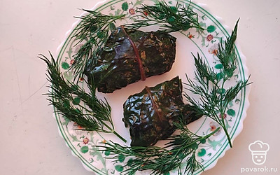 Подавайте голубцы горячими. Выложите несколько штук на отдельную порционную тарелку и украсьте веточками укропа. В качестве соуса к голубцам хорошо подойдет сметана с чесноком и зеленью.