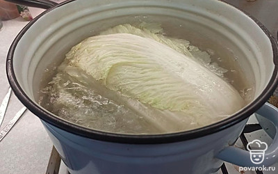 Кладём её в подходящую по объему кастрюлю, наливаем воду и ставим на огонь. Через 15 минут после закипания, снимаем с огня. Вынимаем.