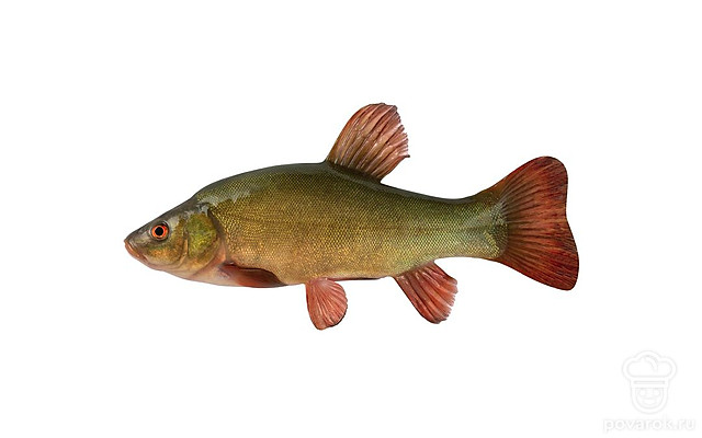 Линь — Рецепты с ингредиентом