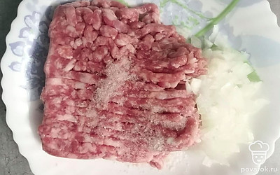 В мясной фарш добавить репчатый лук и соль по вкусу. Перемешать.
