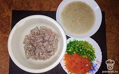 В миску с рыбным фаршем добавьте лук, морковь и разбухшую овсянку вместе с жидкость. Хорошо размешайте.