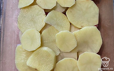 Сверху выложить нарезанный кольцами картофель.
