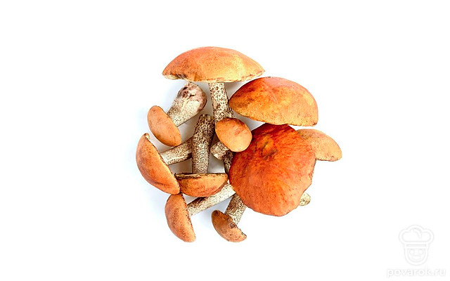 Подосиновики — Рецепты с ингредиентом