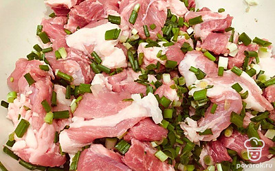 Зеленый лук мелко нашинкуйте на кольца. Мясо порежьте на куски по вашему вкусу и пригодные для шашлыка.