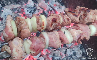 Разожгите угли. Насадите мясо на шампура. Жарьте на умеренном жару до готовности. Следите, чтобы шашлык не подгорел.