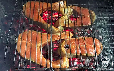 Достаём из холодильника и раскладываем на сетку, относим на мангал и жарим до готовности.