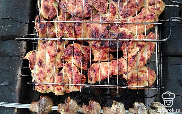 Шашлык из курицы в майонезно-горчичном маринаде — Рецепт с фото