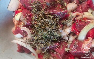 Посолите, поперчите, добавьте специи для мяса. 