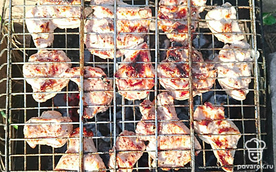 Подготовьте мангал с углями. Кусочки свинины, замаринованные в яблочном уксусе, выложите на решетку. Готовьте шашлык на углях примерно 20 минут до готовности. Решетку периодически переворачивайте.