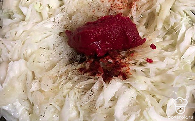 Затем добавьте специи: соль, перец, паприку и одну ложку томатной пасты.