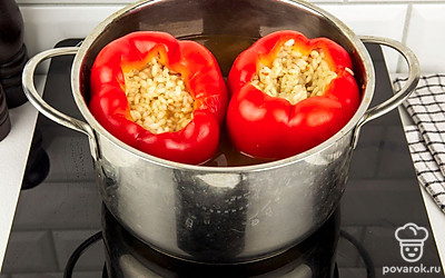 Добавьте в кастрюлю 2 литра воды и перцы. Тушите перцы 20-25 минут под крышкой на медленном огне.