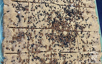 Сверху посыпать кунжутом и семенами льна.