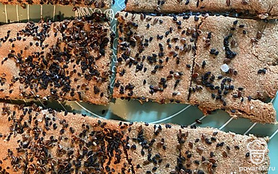 Поставить в духовку на 40 минут при 170 градусах.