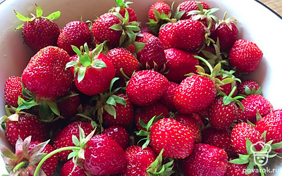 Свежие ягоды клубники промойте, отрежьте зеленую часть. Бананы очистите от кожуры и нарежьте полукольцами.