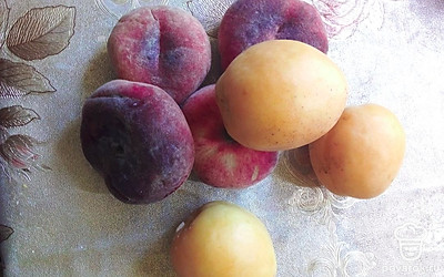 Абрикосы помойте.