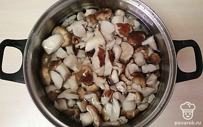 Переложите грибы в кастрюлю. Залейте 2 литрами воды.