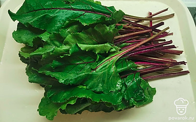 Для начинки взять молодые свекольные листья. Средних листьев должно быть около 40 штук. 