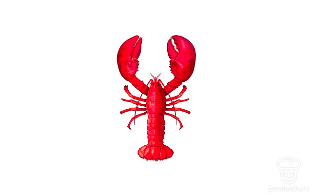 Омар — Рецепты с ингредиентом