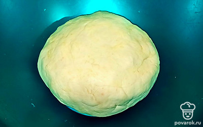 Положите тесто в миску. Накройте и дайте постоять в тепле 40 минут.