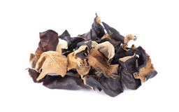 Древесные грибы муэр