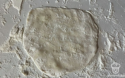 Поверхность для работы с тестом присыпьте мукой, тесто раскатайте.