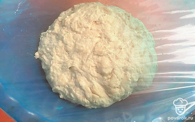 Введите в опару частями муку, соль, яйца, подсолнечное масло. Вымешивайте тесто. 
Переложите в миску, накройте ее пищевой пленкой и оставьте в теплом месте примерно на 1 час. 