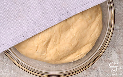 Вымесите руками однородное, эластичное и не слишком липкое тесто. Прикройте миску с тестом полотенцем и дайте ему подняться в тепле около 1-1,5 часов.