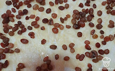 Разложить по всей поверхности изюм.