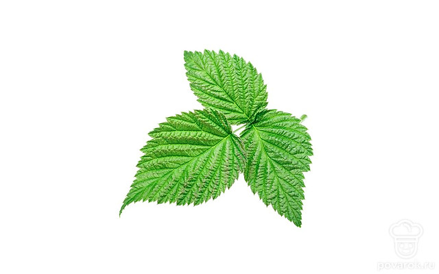 Листья малины — Рецепты с ингредиентом