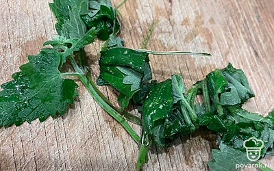 Промойте холодной водой мелиссу, нарежьте ее.