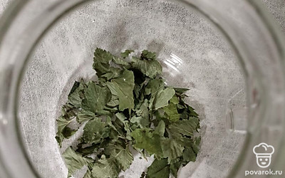 Всыпьте в заварочный чайник измельченные листья смородины.