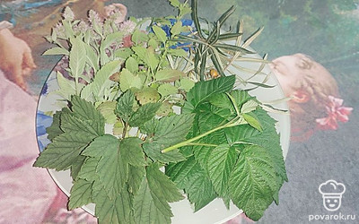 Помойте и обсушите листья облепихи, мяты, мелиссы и черной смородины. 