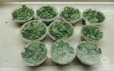 Заполнить смесью листьев небольшие баночки. Удобно использовать пластиковые одноразовые баночки, в такие обычно расфасовывают имбирь в суши-барах. Убрать в морозилку. 