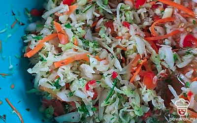 Мелко нашинковать капусту, морковь, перец, чеснок. Нарезать петрушку. Посолить, добавить молотый перец и хорошо перемешать. Смесь должна дать сок.