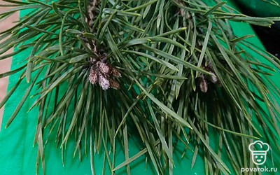 Возьмите 2 столовых ложки промытых сосновых иголок, лучше заготавливать весной или осенью. Хранить можно в сушеном или замороженном виде.