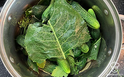 Закрыть огурцы листом хрена.